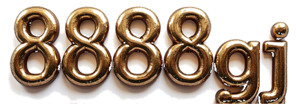 8888gj logo